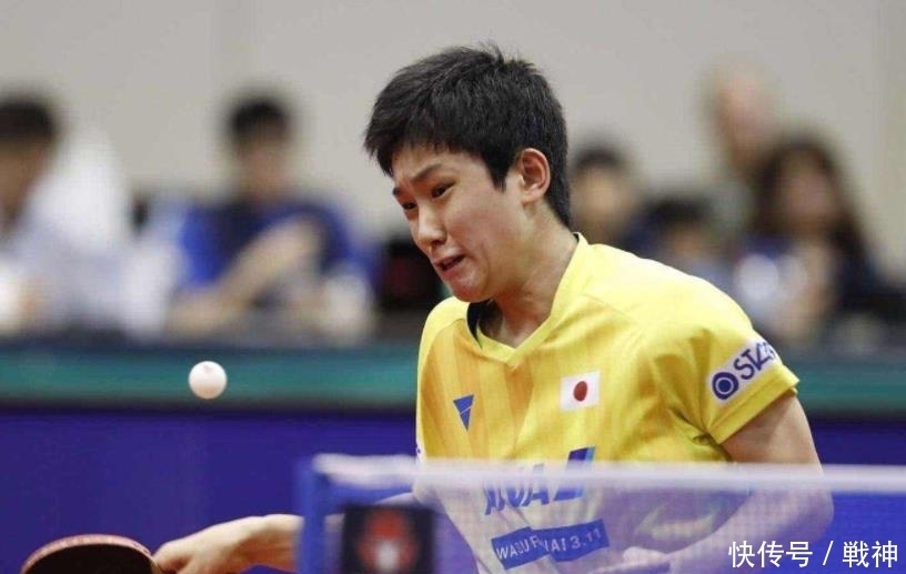 能性球员 能性球员