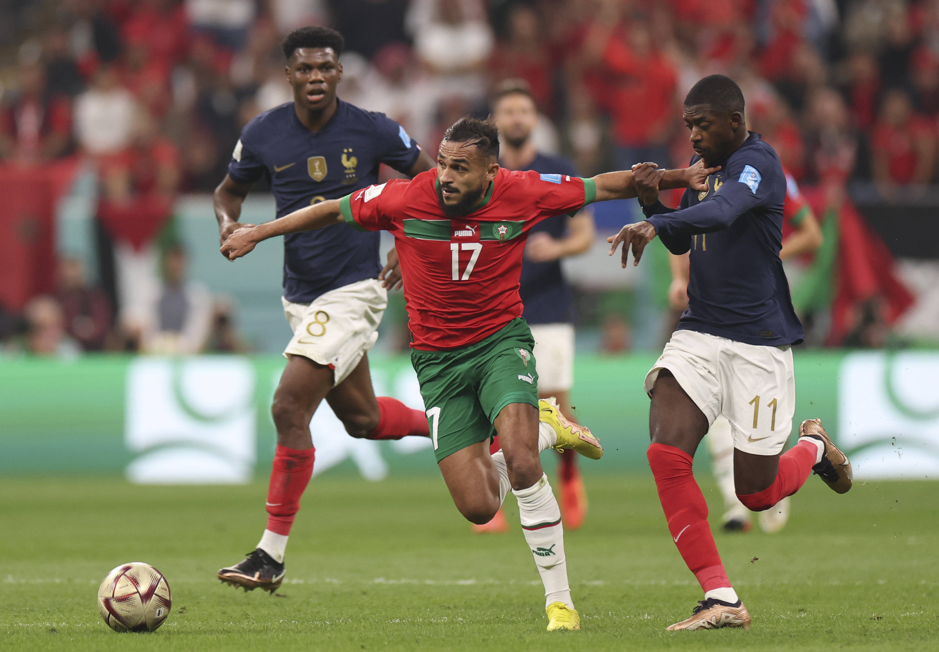 这句话的真 这句话的真